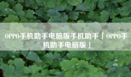 OPPO手机助手电脑版手机助手「OPPO手机助手电脑版」