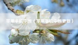 苹果手机中断（苹果手机中断更新）