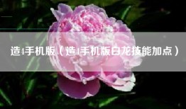 造4手机版（造4手机版白龙技能加点）