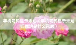 手机号码显示未知（手机号码显示未知归属地是什么意思）