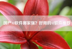 国产AI软件哪家强？好用的AI软件推荐
