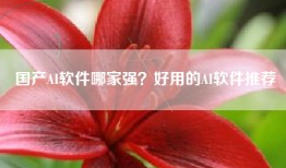 国产AI软件哪家强？好用的AI软件推荐