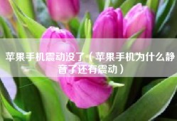 苹果手机震动没了（苹果手机为什么静音了还有震动）