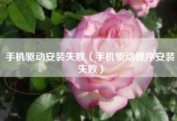 手机驱动安装失败（手机驱动程序安装失败）
