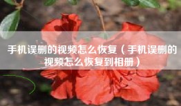手机误删的视频怎么恢复（手机误删的视频怎么恢复到相册）