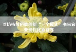潍坊持续拓展创新“三个模式”书写农业现代化新答卷