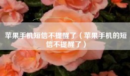 苹果手机短信不提醒了（苹果手机的短信不提醒了）