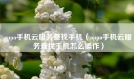oppo手机云服务查找手机（oppo手机云服务查找手机怎么操作）