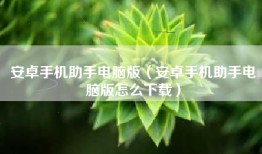 安卓手机助手电脑版（安卓手机助手电脑版怎么下载）