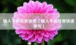 输入手机号查快递（输入手机号查快递单号）