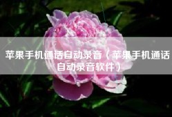 苹果手机通话自动录音（苹果手机通话自动录音软件）