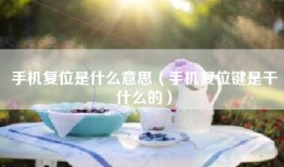 手机复位是什么意思（手机复位键是干什么的）