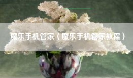 魔乐手机管家（魔乐手机管家教程）