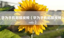 华为手机贴膜视频（华为手机贴膜视频 benks）