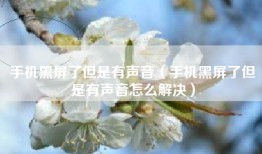 手机黑屏了但是有声音（手机黑屏了但是有声音怎么解决）