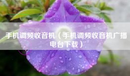 手机调频收音机（手机调频收音机广播电台下载）