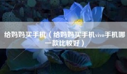 给妈妈买手机（给妈妈买手机vivo手机哪一款比较好）