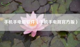 手机手电筒软件（手机手电筒官方版）