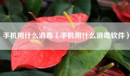 手机用什么消毒（手机用什么消毒软件）