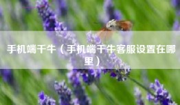 手机端千牛（手机端千牛客服设置在哪里）