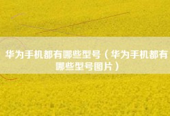 华为手机都有哪些型号（华为手机都有哪些型号图片）
