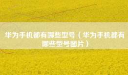 华为手机都有哪些型号（华为手机都有哪些型号图片）