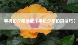 手机拍夕阳参数（手机夕阳拍摄技巧）