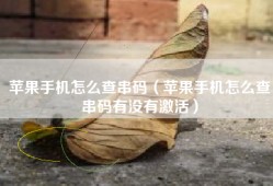 苹果手机怎么查串码（苹果手机怎么查串码有没有激活）