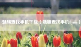魅族查找手机下载（魅族查找手机flyme）