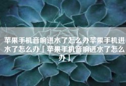 苹果手机音响进水了怎么办苹果手机进水了怎么办「苹果手机音响进水了怎么办」
