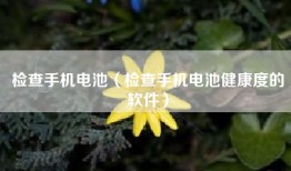 检查手机电池（检查手机电池健康度的软件）
