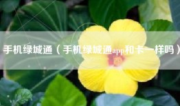 手机绿城通（手机绿城通app和卡一样吗）