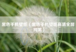 黑色手机壁纸（黑色手机壁纸高清全屏 纯黑）