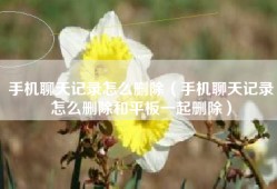 手机聊天记录怎么删除（手机聊天记录怎么删除和平板一起删除）