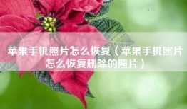 苹果手机照片怎么恢复（苹果手机照片怎么恢复删除的照片）