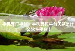 手机支付平台（手机支付平台欠款是什么软件平台）