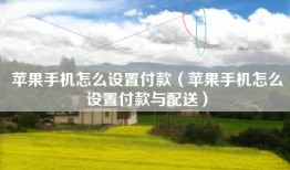 苹果手机怎么设置付款（苹果手机怎么设置付款与配送）