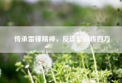 传承雷锋精神，反诈知识传四方