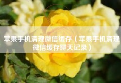 苹果手机清理微信缓存（苹果手机清理微信缓存聊天记录）