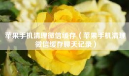 苹果手机清理微信缓存（苹果手机清理微信缓存聊天记录）