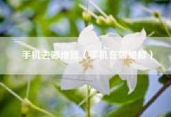 手机去哪维修（手机在哪维修）