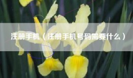 注册手机（注册手机号码需要什么）
