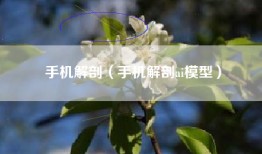 手机解剖（手机解剖ai模型）