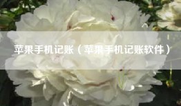 苹果手机记账（苹果手机记账软件）