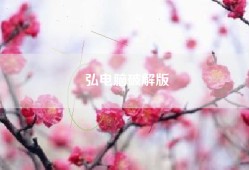 弘电脑破解版