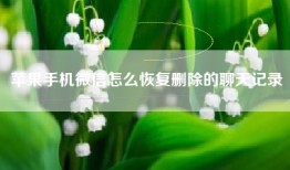 苹果手机微信怎么恢复删除的聊天记录