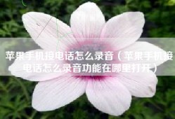 苹果手机接电话怎么录音（苹果手机接电话怎么录音功能在哪里打开）