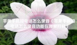 苹果手机接电话怎么录音（苹果手机接电话怎么录音功能在哪里打开）