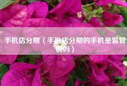 手机店分期（手机店分期的手机是监管机吗）