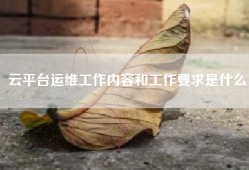 云平台运维工作内容和工作要求是什么